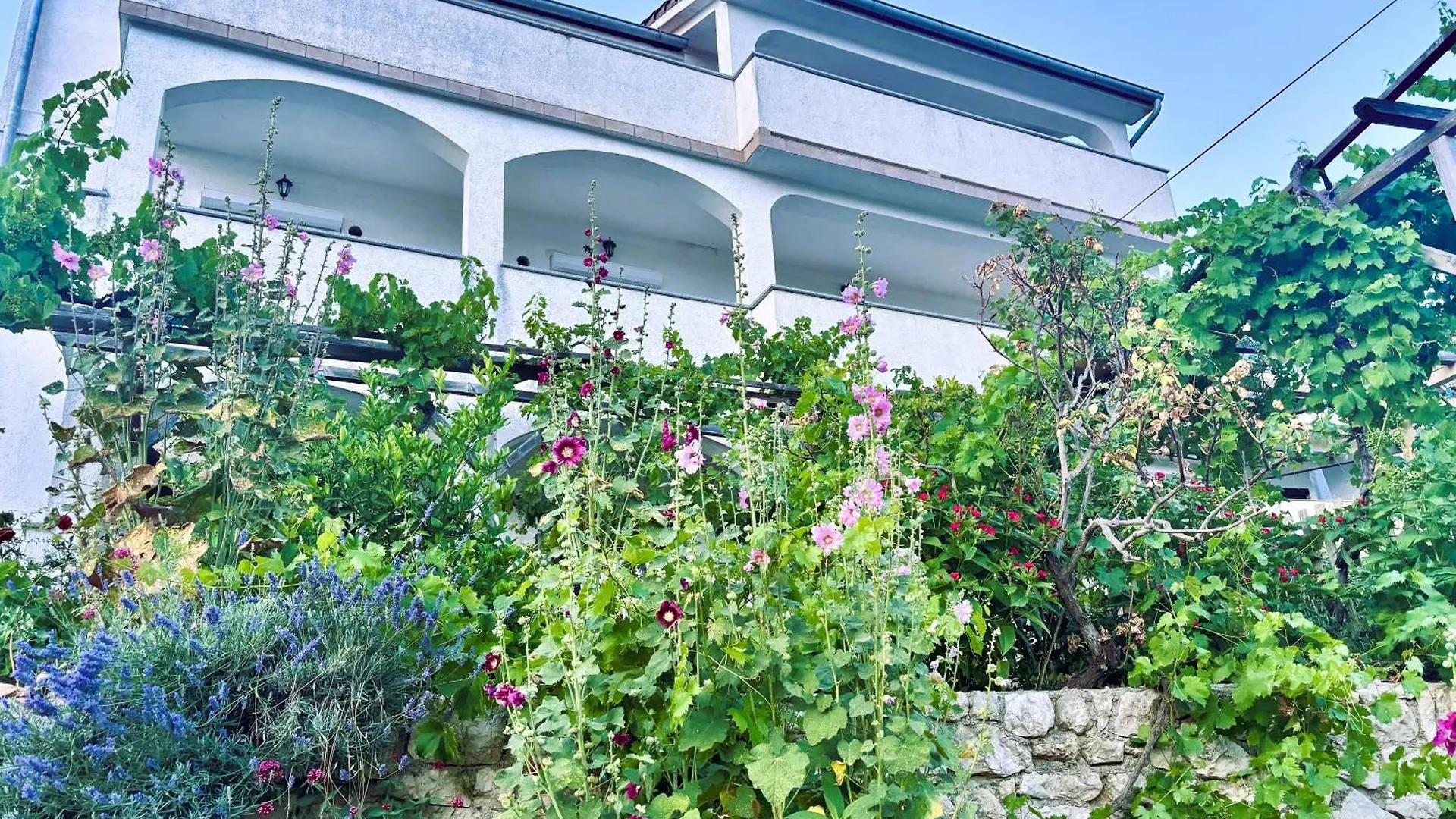 Pljesa Apartments Supetarska Draga Croacia